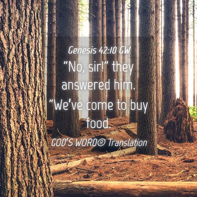 Picture 04 - Genesis 42:10 GW - “No, sir!” they answered him. “We’ve come - Bible Verse Picture