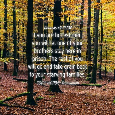 Picture 04 - Genesis 42:19 GW - If you are honest men, you will let one of your - Bible Verse Picture
