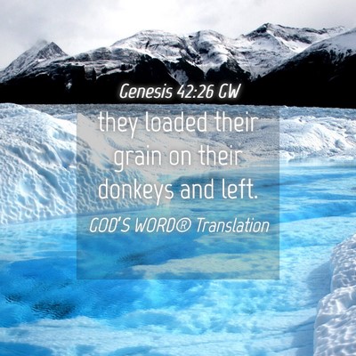 Picture 04 - Genesis 42:26 GW - they loaded their grain on their donkeys and - Bible Verse Picture