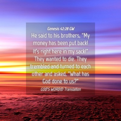 Picture 04 - Genesis 42:28 GW - He said to his brothers, “My money has been put - Bible Verse Picture