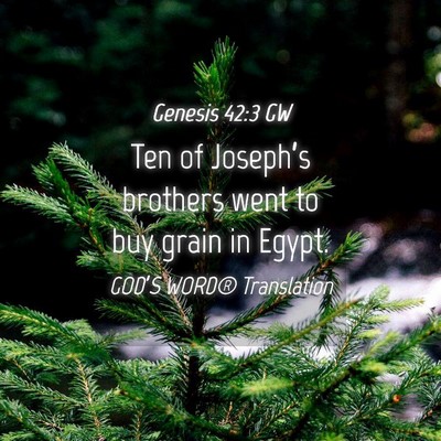 Picture 04 - Genesis 42:3 GW - Ten of Joseph’s brothers went to buy grain in - Bible Verse Picture
