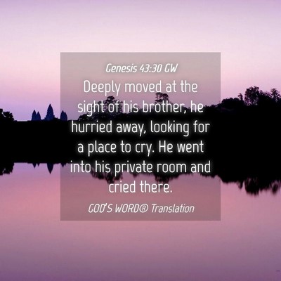 Picture 04 - Genesis 43:30 GW - Deeply moved at the sight of his brother, he - Bible Verse Picture