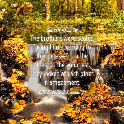Picture 04 - Genesis 43:33 GW - The brothers were seated facing him according to - Bible Verse Picture
