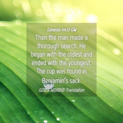 Picture 04 - Genesis 44:12 GW - Then the man made a thorough search. He began - Bible Verse Picture