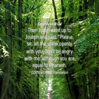 Picture 04 - Genesis 44:18 GW - Then Judah went up to Joseph and said, “Please, - Bible Verse Picture