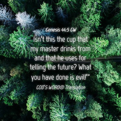 Picture 04 - Genesis 44:5 GW - Isn’t this the cup that my master drinks from - Bible Verse Picture