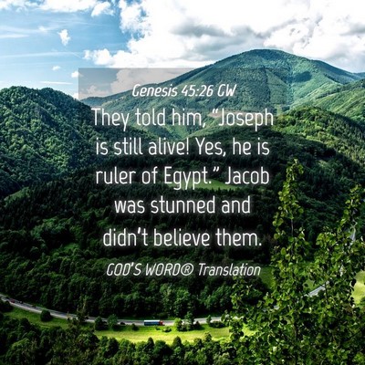 Picture 04 - Genesis 45:26 GW - They told him, “Joseph is still alive! Yes, he - Bible Verse Picture
