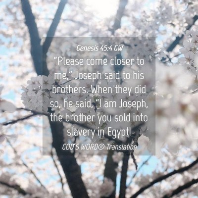 Picture 04 - Genesis 45:4 GW - “Please come closer to me,” Joseph said to - Bible Verse Picture
