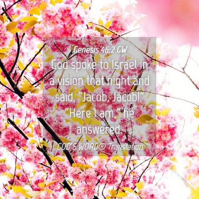 Picture 04 - Genesis 46:2 GW - God spoke to Israel in a vision that night and - Bible Verse Picture