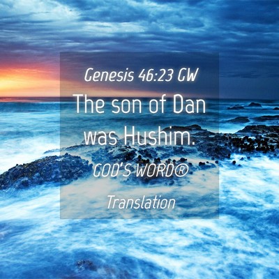 Picture 04 - Genesis 46:23 GW - The son of Dan was - Bible Verse Picture