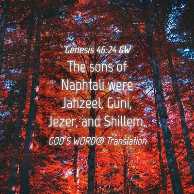Picture 04 - Genesis 46:24 GW - The sons of Naphtali were Jahzeel, Guni, Jezer, - Bible Verse Picture