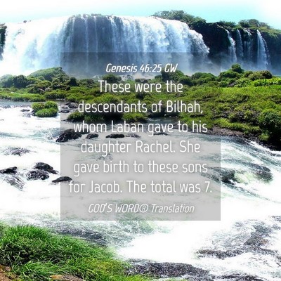 Picture 04 - Genesis 46:25 GW - These were the descendants of Bilhah, whom Laban - Bible Verse Picture