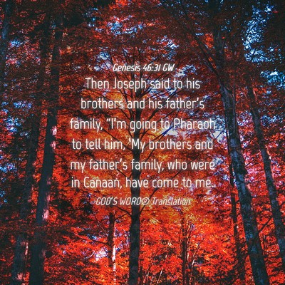 Picture 04 - Genesis 46:31 GW - Then Joseph said to his brothers and his - Bible Verse Picture