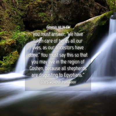 Picture 04 - Genesis 46:34 GW - you must answer, ‘We have taken care of herds - Bible Verse Picture