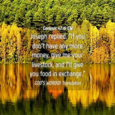 Picture 04 - Genesis 47:16 GW - Joseph replied, “If you don’t have any more - Bible Verse Picture