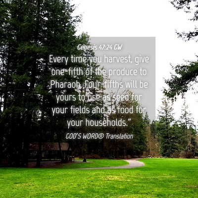 Picture 04 - Genesis 47:24 GW - Every time you harvest, give one-fifth of the - Bible Verse Picture