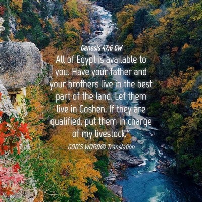 Picture 04 - Genesis 47:6 GW - All of Egypt is available to you. Have your - Bible Verse Picture