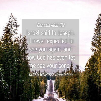 Picture 04 - Genesis 48:11 GW - Israel said to Joseph, “I never expected to see - Bible Verse Picture