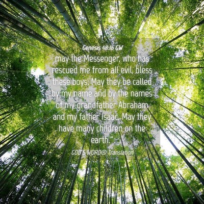 Picture 04 - Genesis 48:16 GW - may the Messenger, who has rescued me from all - Bible Verse Picture