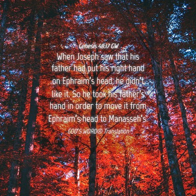 Picture 04 - Genesis 48:17 GW - When Joseph saw that his father had put his right - Bible Verse Picture