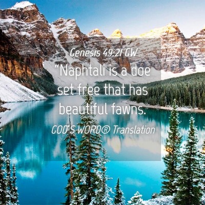 Picture 04 - Genesis 49:21 GW - “Naphtali is a doe set free that has beautiful - Bible Verse Picture