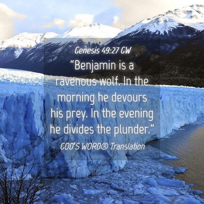 Picture 04 - Genesis 49:27 GW - “Benjamin is a ravenous wolf. In the morning he - Bible Verse Picture
