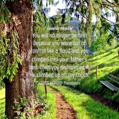 Picture 04 - Genesis 49:4 GW - You will no longer be first because you were out - Bible Verse Picture
