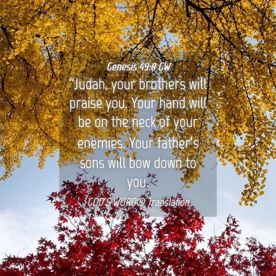 Picture 04 - Genesis 49:8 GW - “Judah, your brothers will praise you. Your - Bible Verse Picture