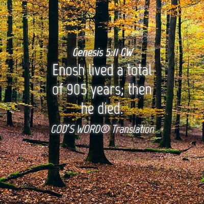 Picture 04 - Genesis 5:11 GW - Enosh lived a total of 905 years; then he - Bible Verse Picture