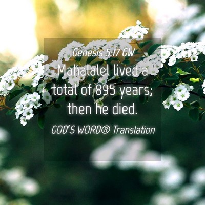 Picture 04 - Genesis 5:17 GW - Mahalalel lived a total of 895 years; then he - Bible Verse Picture