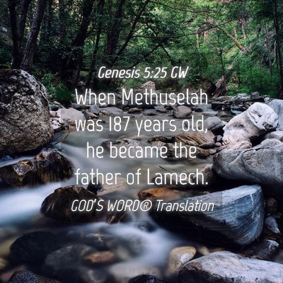 Picture 04 - Genesis 5:25 GW - When Methuselah was 187 years old, he became the - Bible Verse Picture