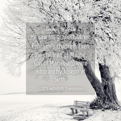 Picture 04 - Genesis 50:23 GW - He saw his grandchildren, Ephraim’s children. - Bible Verse Picture