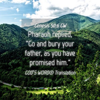 Picture 04 - Genesis 50:6 GW - Pharaoh replied, “Go and bury your father, as - Bible Verse Picture