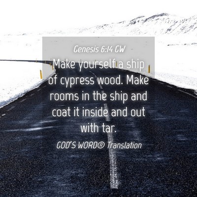 Picture 04 - Genesis 6:14 GW - Make yourself a ship of cypress wood. Make rooms - Bible Verse Picture