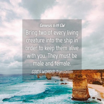 Picture 04 - Genesis 6:19 GW - Bring two of every living creature into the ship - Bible Verse Picture