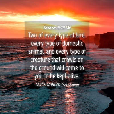 Picture 04 - Genesis 6:20 GW - Two of every type of bird, every type of domestic - Bible Verse Picture