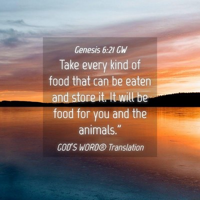Picture 04 - Genesis 6:21 GW - Take every kind of food that can be eaten and - Bible Verse Picture