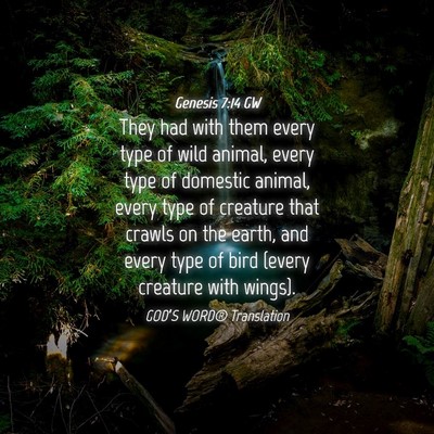 Picture 04 - Genesis 7:14 GW - They had with them every type of wild animal, - Bible Verse Picture
