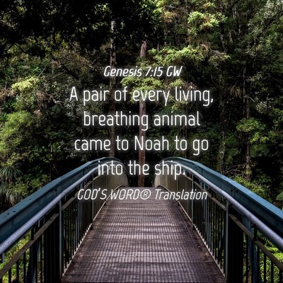 Picture 04 - Genesis 7:15 GW - A pair of every living, breathing animal came to - Bible Verse Picture