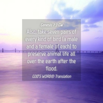 Picture 04 - Genesis 7:3 GW - Also, take seven pairs of every kind of bird (a - Bible Verse Picture