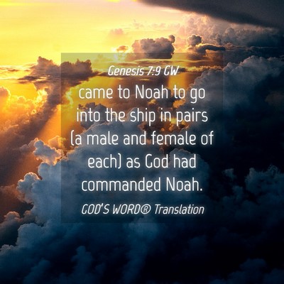 Picture 04 - Genesis 7:9 GW - came to Noah to go into the ship in pairs (a male - Bible Verse Picture