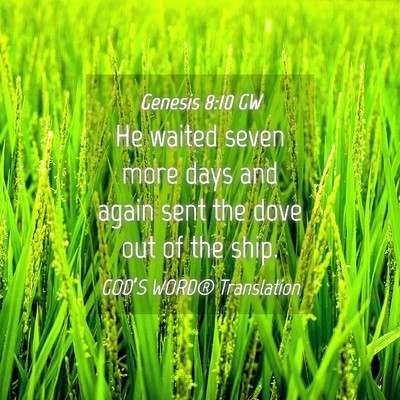 Picture 04 - Genesis 8:10 GW - He waited seven more days and again sent the dove - Bible Verse Picture