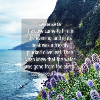 Picture 04 - Genesis 8:11 GW - The dove came to him in the evening, and in its - Bible Verse Picture