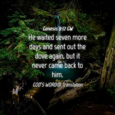 Picture 04 - Genesis 8:12 GW - He waited seven more days and sent out the dove - Bible Verse Picture