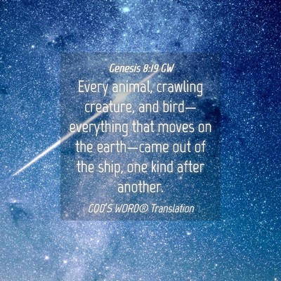 Picture 04 - Genesis 8:19 GW - Every animal, crawling creature, and - Bible Verse Picture