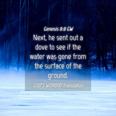 Picture 04 - Genesis 8:8 GW - Next, he sent out a dove to see if the water was - Bible Verse Picture