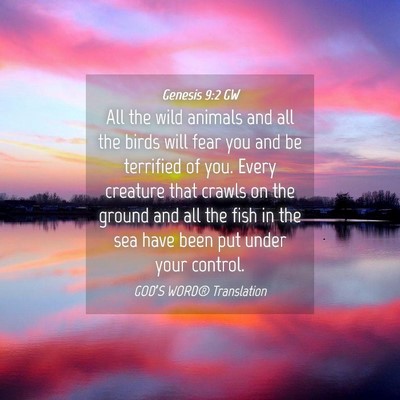 Picture 04 - Genesis 9:2 GW - All the wild animals and all the birds will fear - Bible Verse Picture