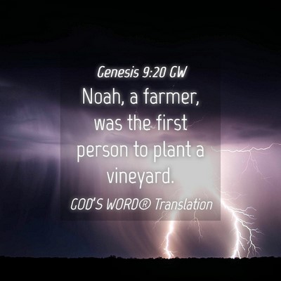 Picture 04 - Genesis 9:20 GW - Noah, a farmer, was the first person to plant a - Bible Verse Picture
