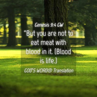 Picture 04 - Genesis 9:4 GW - “But you are not to eat meat with blood in it. - Bible Verse Picture