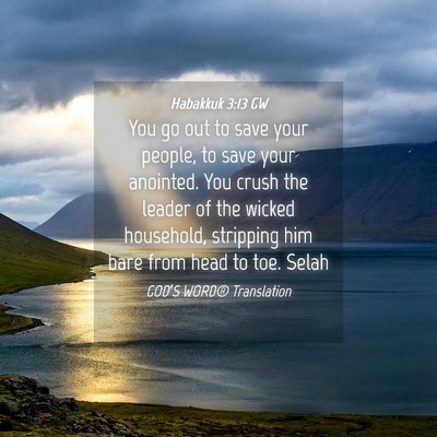 Picture 04 - Habakkuk 3:13 GW - You go out to save your people, to save your - Bible Verse Picture